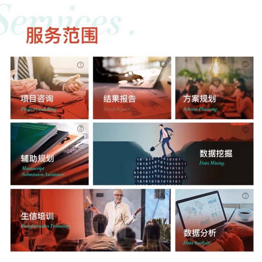 生信分析服务医学科研单细胞测序基因转录代谢组学数据挖掘R语言
