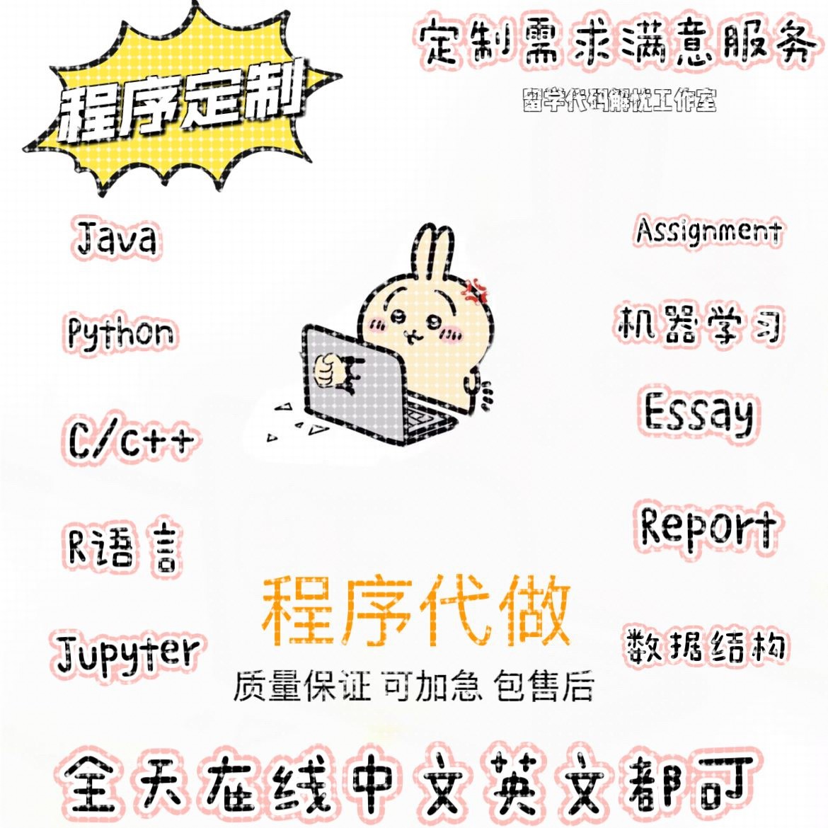 Java管理系统R语言python机器学习c/c++数据结构编程人工智能