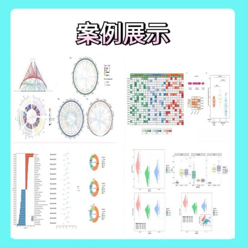 生信分析服务单细胞分析TCGA GEO公共数据库挖掘分子对接基因分析