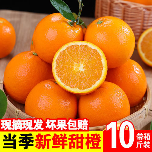 现摘新鲜甜脐橙子3/5/9斤整箱