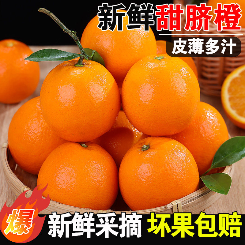 新鲜伦晚现摘甜脐橙子多汁当应季赣时令3/5/9斤水果整箱手剥橙南