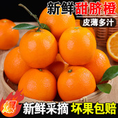 新鲜现摘甜脐橙子大果多汁当应季 赣时令3 9斤水果整箱手剥橙南