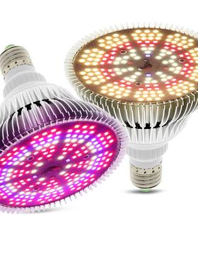 LED灯杯Par38太阳光全波段植物灯 E27灯头LED全光谱植物补光灯