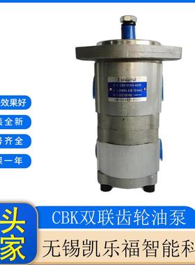 动力单元双联齿轮泵CBK1012/1010-B3FR厂家 采煤机油泵