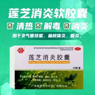 鹅城 莲芝消炎胶囊24粒/盒 支气管咳嗽扁桃体炎咽炎清热解毒消炎