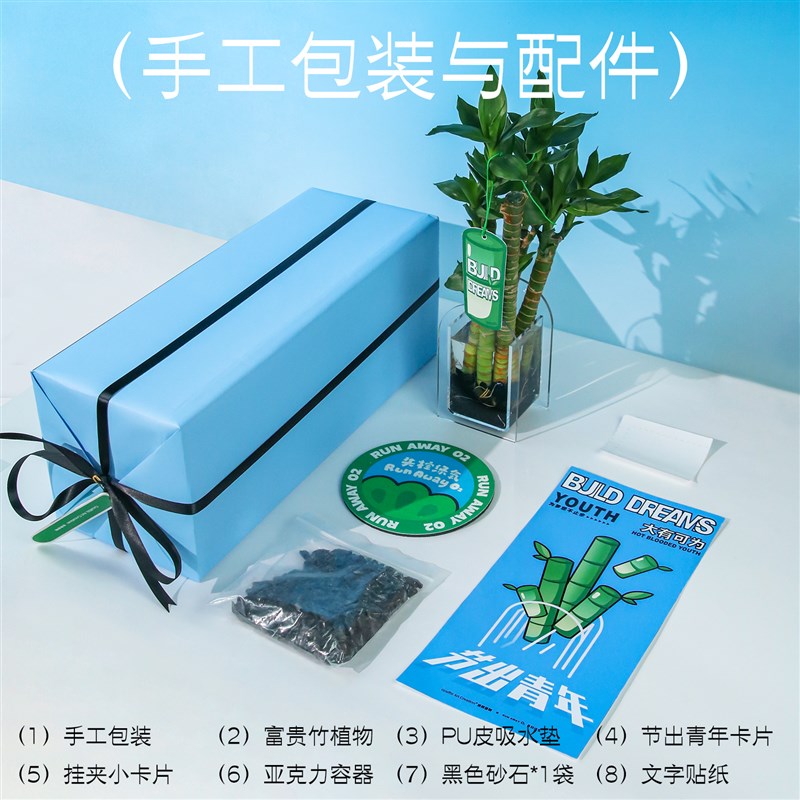 涂鸦造物 水培富贵竹创意办公室桌面小盆栽植物绿植摆件
