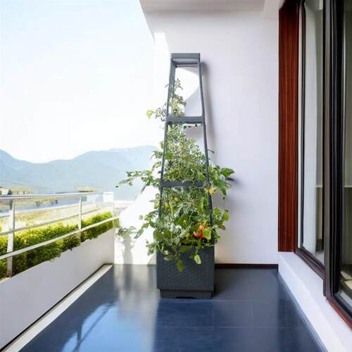 家庭阳台种植箱种菜箱花盆带爬杆架塑料花盆楼顶种番茄黄瓜菜盆
