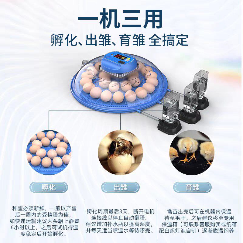 小飞碟孵化器小型家用迷你孵化机智能全自动恒温芦丁鸡孵蛋箱