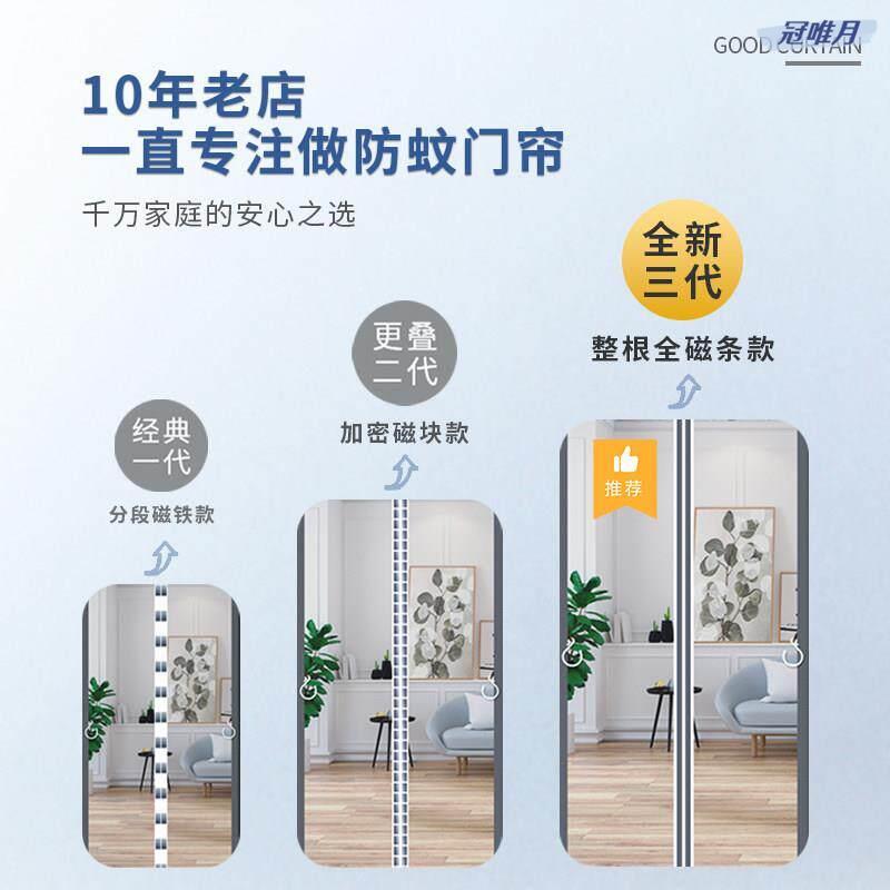 入户门防蚊门帘侧开全磁条夏季家用防虫自吸强力磁性纱窗纱门帘子