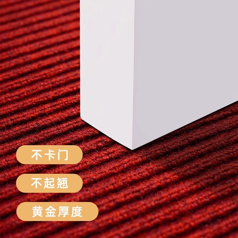 入户门地垫出入平安地毯洗手间进门家用玄关吸水防滑门垫速干脚垫