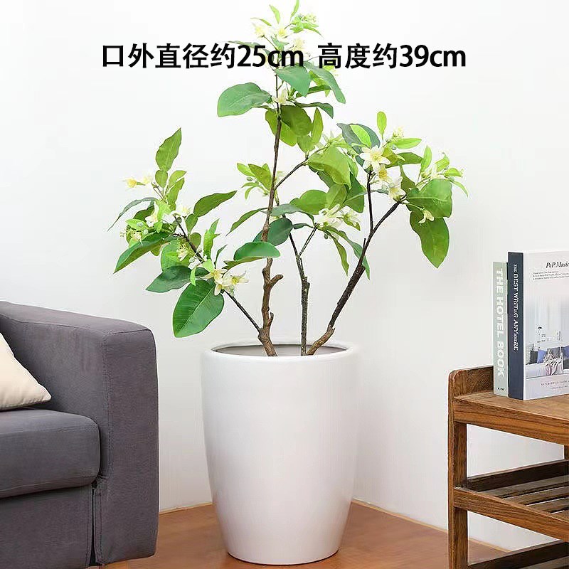 陶瓷大花盆网红简约白色高款小菱形几何圆柱虎皮兰发财树绿植瓷盆