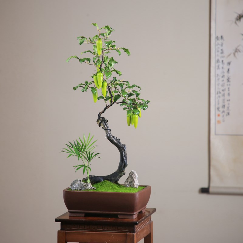 老鸦柿一物一拍挂果老桩盆景年宵红果绿植庭院阳台高端盆景素材