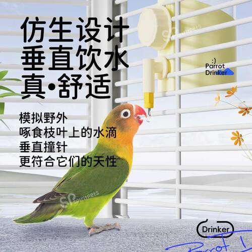新款鹦鹉自动喂水器鸟用饮水器横丝鸟笼鸟食盒挂式喂食器撞针水壶