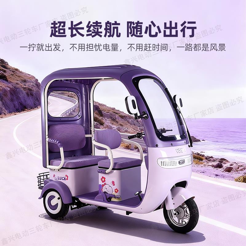 新款国标电动三轮车小型带棚三轮电动车老人代步车载人家用电瓶车
