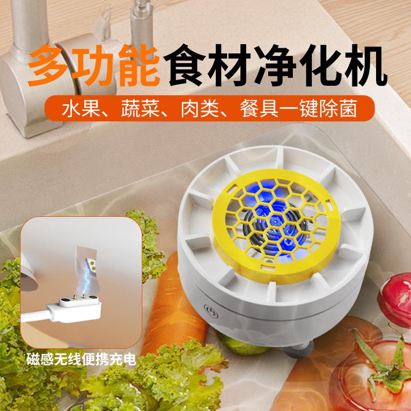 全自动果蔬食材净化机钛片果蔬清洗机器多功能水果肉类洗菜机家用