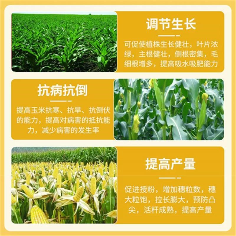 玉米金大棒水溶肥叶面肥一号专用种玉米复合肥料尿素生长调节剂