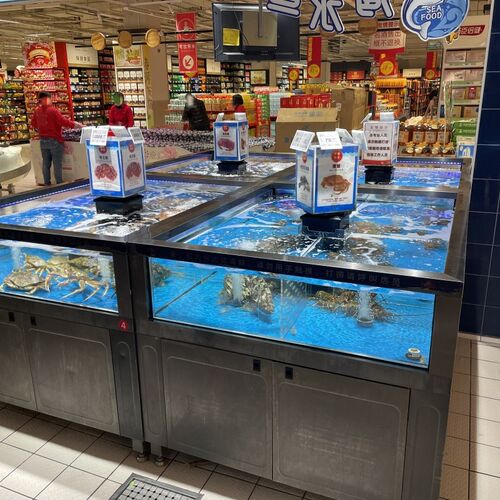 海鲜鱼缸带制冷双温控超市海鲜暂养池海鲜池商用多组合海水养殖缸