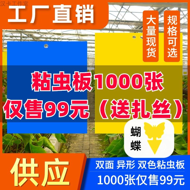 双面粘虫板诱虫板沾果树菜园大棚黄板飞虫黏贴纸黄蓝一体整箱包邮