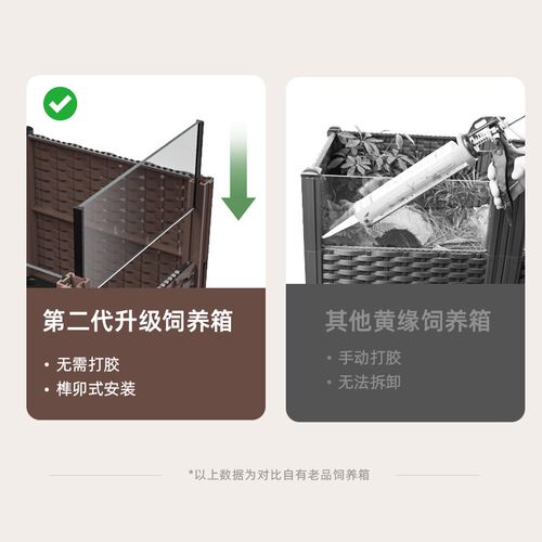 黄缘乌龟专用养殖箱安缘闭壳龟半水龟玻璃生态环境造景植物饲养缸