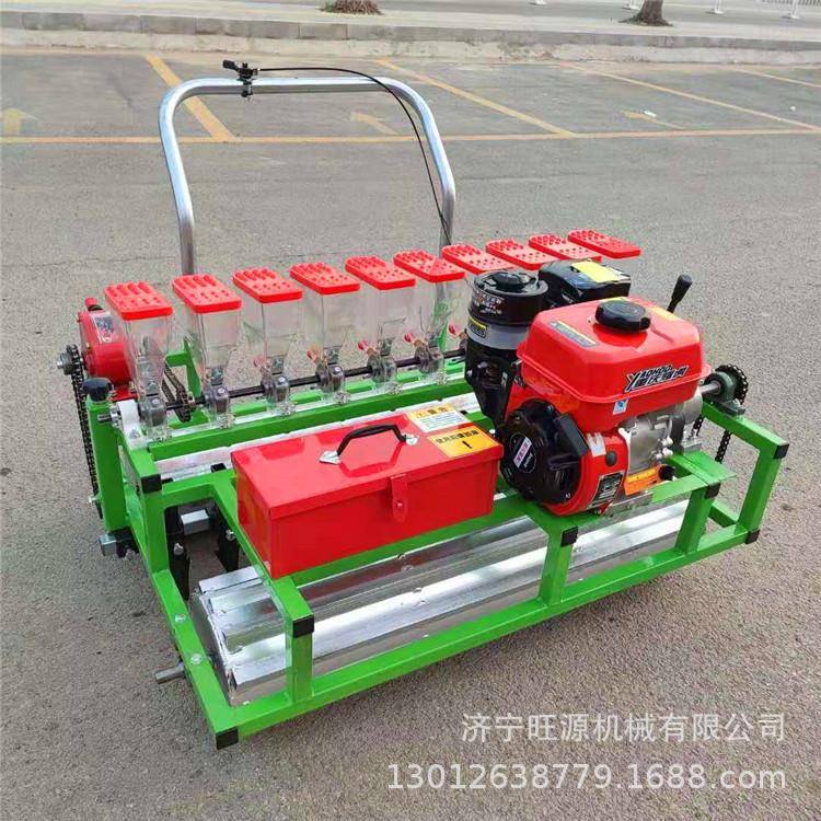 行距可调蔬菜播种机人力手推蔬菜播种机多行汽油自走式播种机