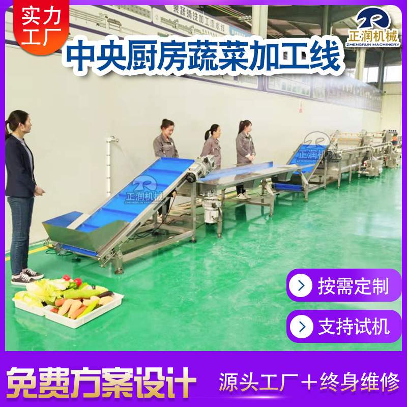 连续式果蔬气泡清洗机 石榴籽清洗风干流水线 人参果清洗风干线