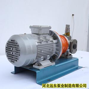 保温齿轮泵泊远东RCB-38材质不锈钢