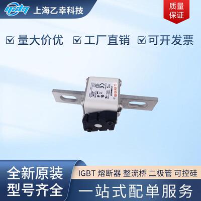 巴斯曼熔断器 170M4667 170M4668 170M4669 170M4670 170M4672