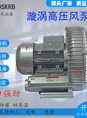 RB-71D-3外贸出口RB-73D-4洗瓶吹干设备专用高压风机漩涡气泵