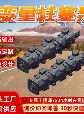 A11VL0260LRDS/11R-NZD12K67,85kW变量柱塞泵 货源充足 使用方便