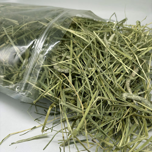 晒干提草杆较多粗纤维高适合磨牙和肠道健康