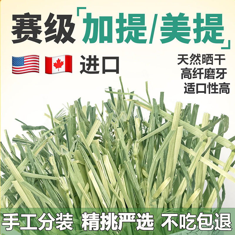 晒干提草杆较多粗纤维高适合磨牙和肠道健康