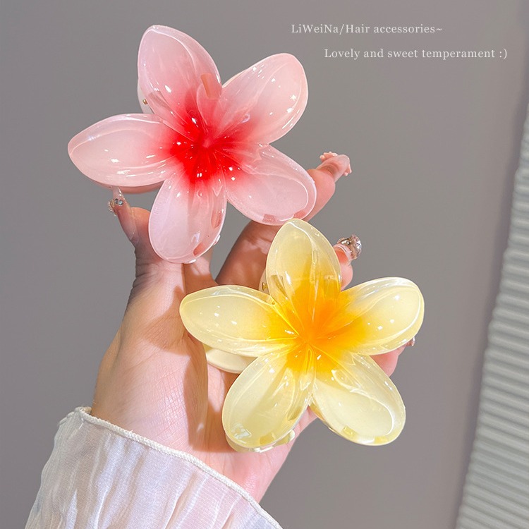 海滩度假风鸡蛋花朵发夹女后脑勺半扎发抓夹气质鲨鱼夹子头饰