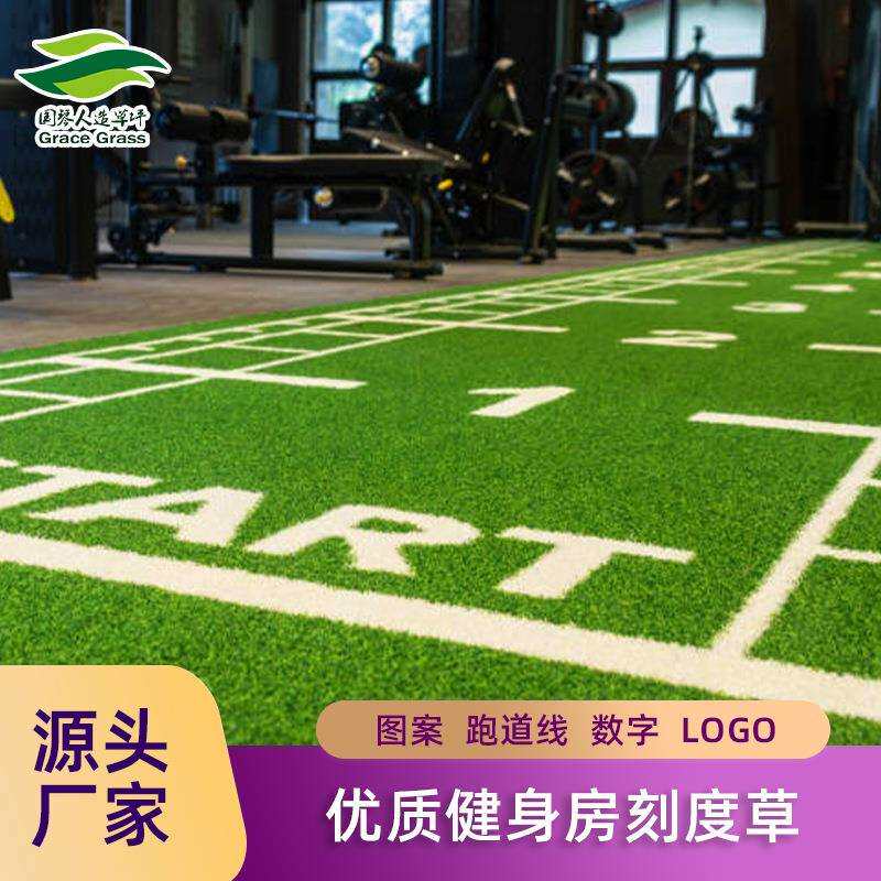 热销健身房草坪垫刻度草人工功能私教假草坪加密加厚运动草私教垫
