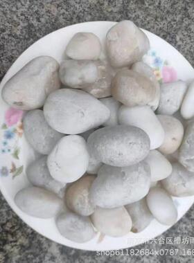 白色精抛光鹅卵石2-3Cm 日式园林枯山水砾石庭院造景水洗石灰色