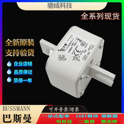 巴斯曼170M6017 170M6018 170M6019 厂家供货厂价直供 紧凑熔断器
