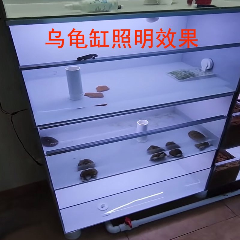 乌龟缸排缸周转箱养龟专用led照明乌龟晒背龟缸防水补光硬灯条灯