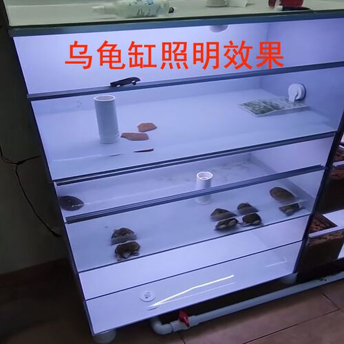 乌龟缸排缸周转箱养龟专用led照明乌龟晒背龟缸防水补光硬灯条灯