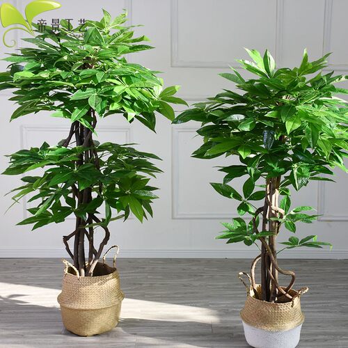 彷真发财树盆景真树杆环保人造植物落地家庭布景花卉入户花园招财