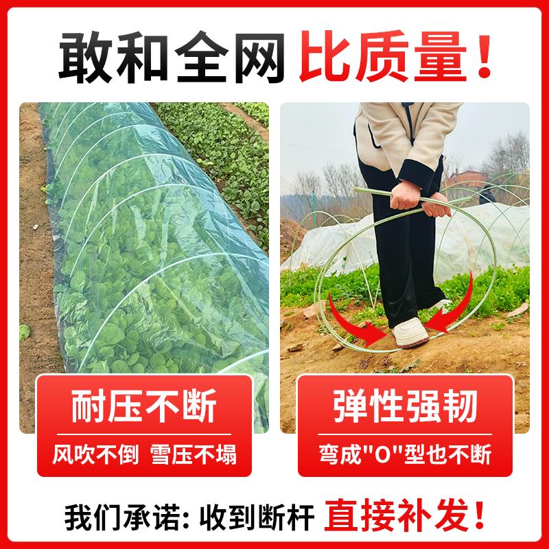 新型拱棚支架黄瓜豆角爬藤架植物立杆架瓜果蔬菜花卉温室种殖大棚