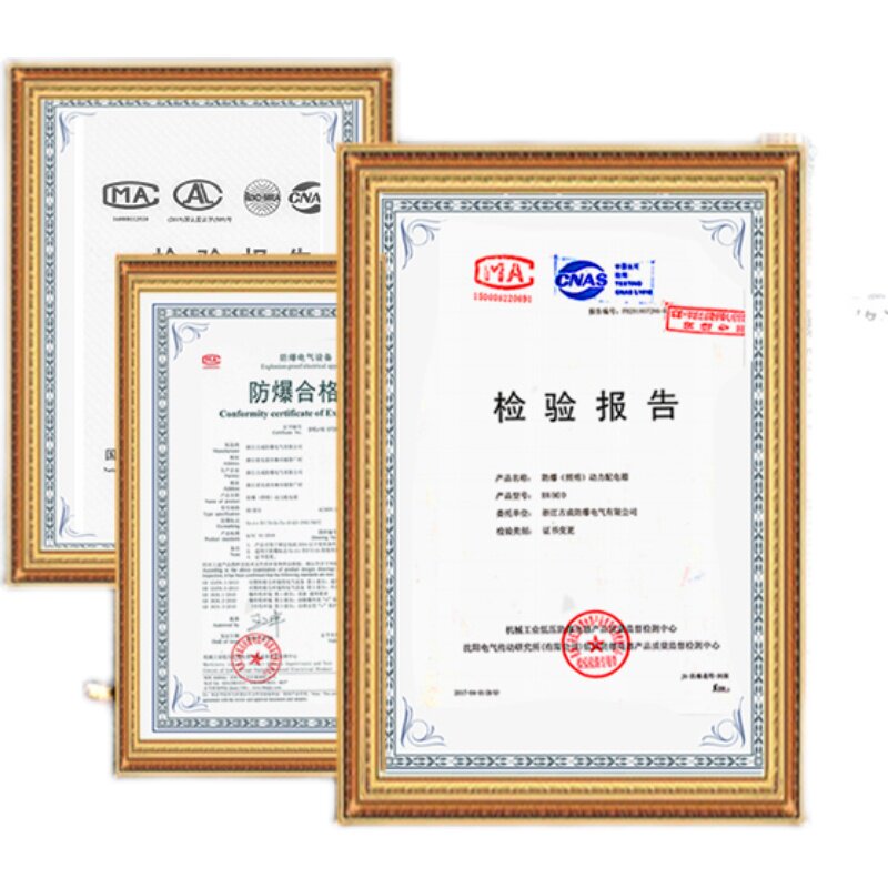 304不锈钢防爆接线箱配电箱隔爆IIB/IIC增安型粉尘气体防爆端子箱