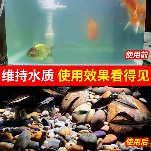 10斤鹅卵石鱼缸造景底砂装饰溪流石原生天然小石头石子五彩鹅软石