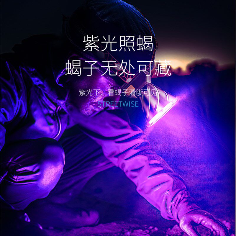 照蝎子专用395nm紫光灯强光感应头灯头戴式手电筒户外超亮可充电
