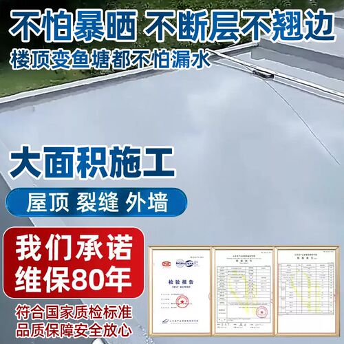 五合一屋顶专用防水胶屋顶裂缝平房天沟渗水补漏材料楼顶防水涂料
