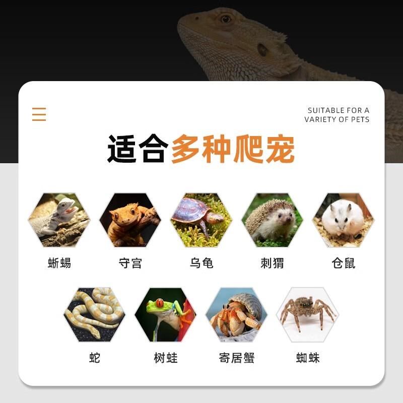 爬宠恒温箱乌龟过冬眠保温箱守宫饲养盒鬃狮蜥蜴宠物角蛙爬虫动物