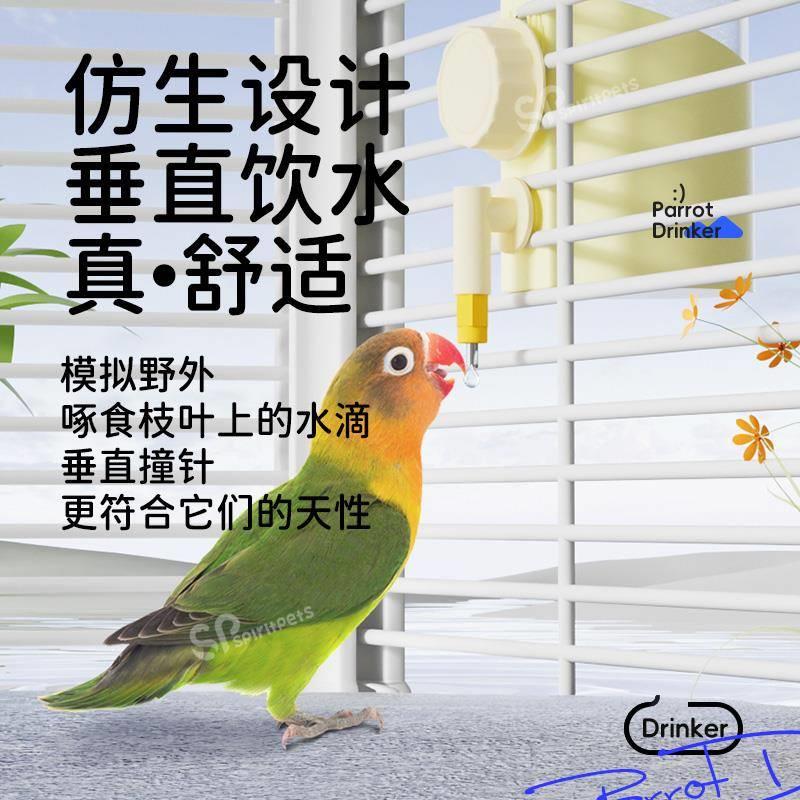 新款鹦鹉自动喂水器鸟用饮水器横丝鸟笼鸟食盒挂式喂食器撞针水壶