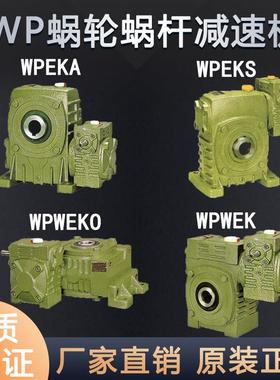 WPEKA WPEKS WPWEKO WPWEK减速机铁壳齿轮箱涡轮蜗杆双极减速器
