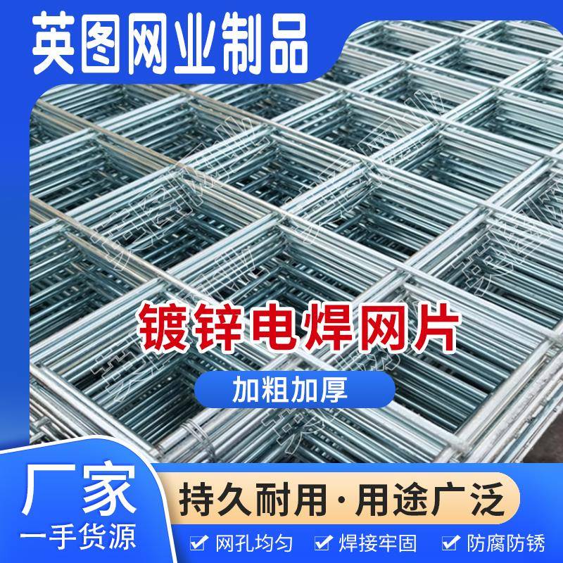 加粗镀锌电焊网片铁丝围栏家用养殖电焊网格阳台防护钢丝防护定制