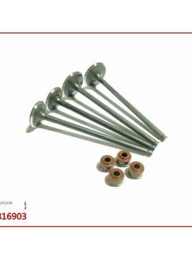 小黄龙Bj250-15A/15E进排气门18进气阀Trk251阀油封总成Cub 250