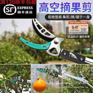 摘果荔枝龙眼枇杷树枝剪伸缩杆高空剪加长香椿高枝剪采摘修枝