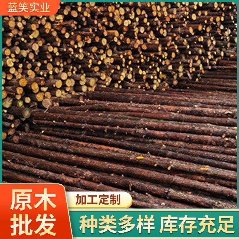 林场直供 杉木绿化杆 小区道路绿化支撑杆 木桩